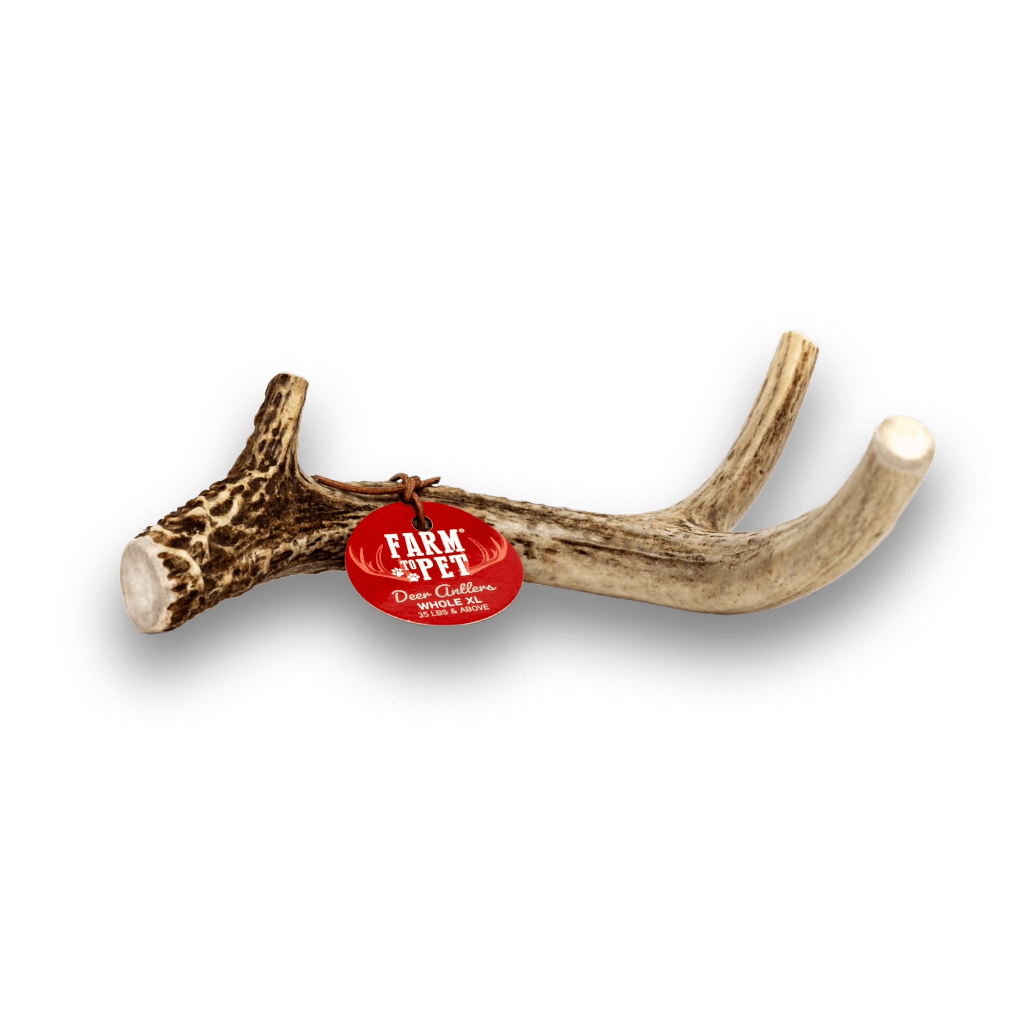 Deer Antlers for Dogs