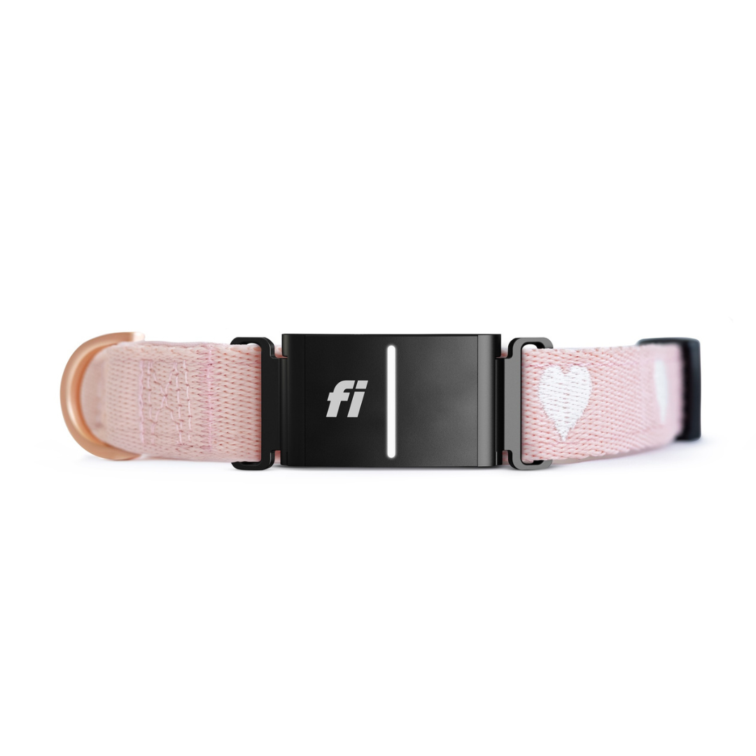 Pink dog collar with a black buckle featuring the 'fi' logo on a white background