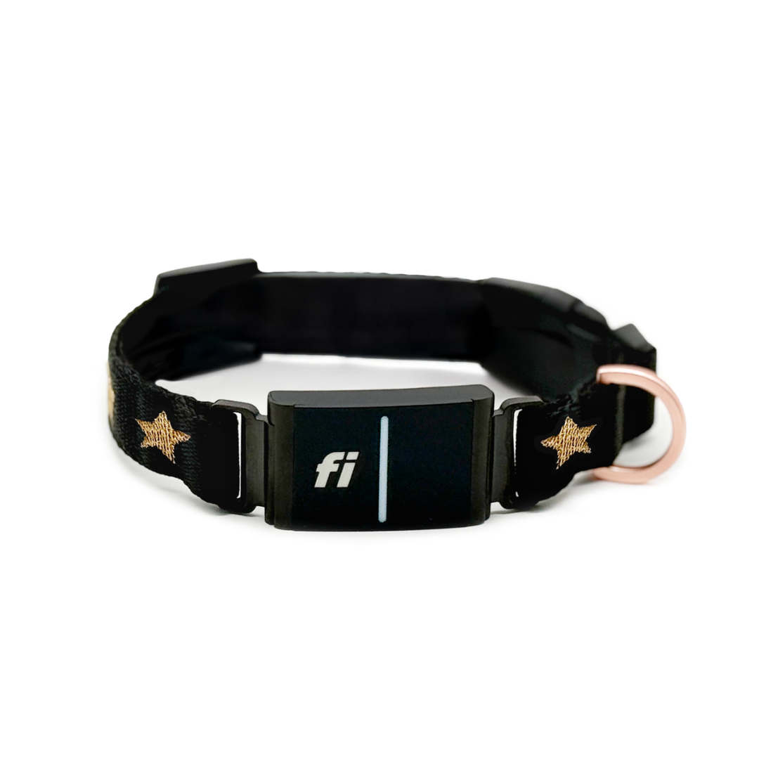 The DOGISTRY x Fi Rockstar Collar