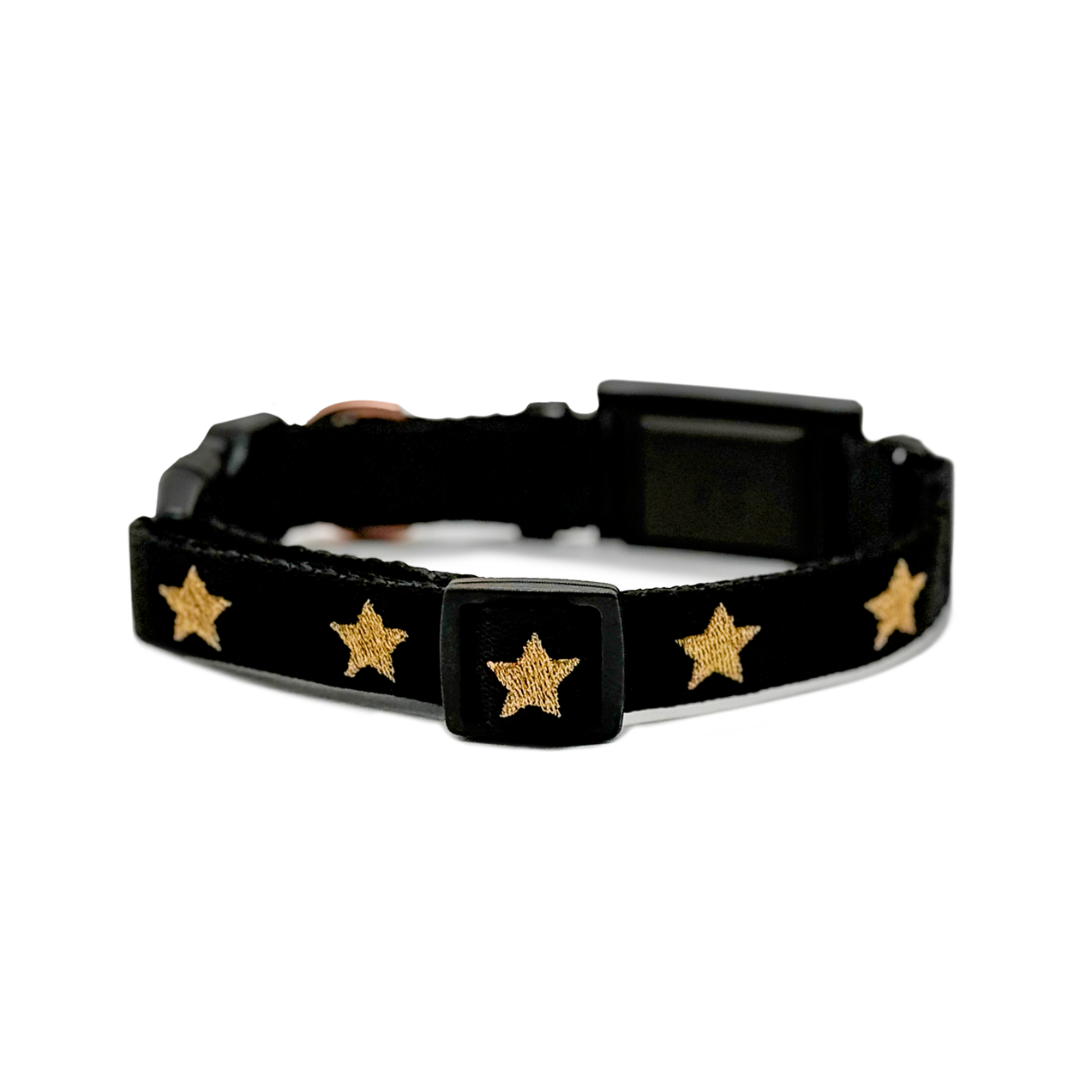 The DOGISTRY x Fi Rockstar Collar