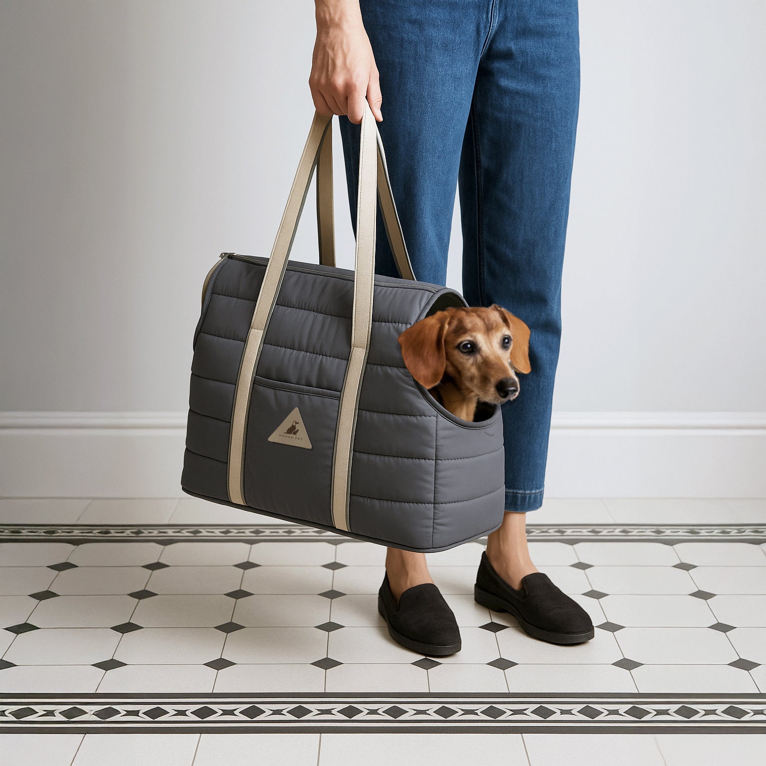 Nooee Ultra-lightweight Small Dog Carrier