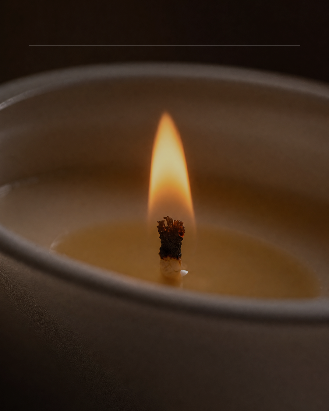 Non-Toxic Candle | Leader of the Pack