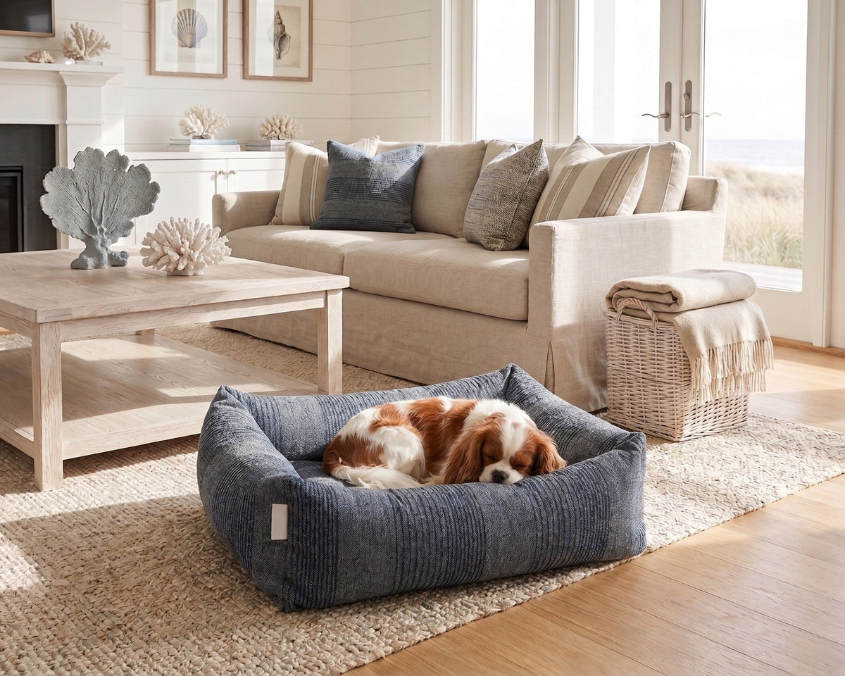 Cavalier King Charles Spaniel curled up in the Bowsers Franklin dog bed in Coastal Blue in a coastal living room