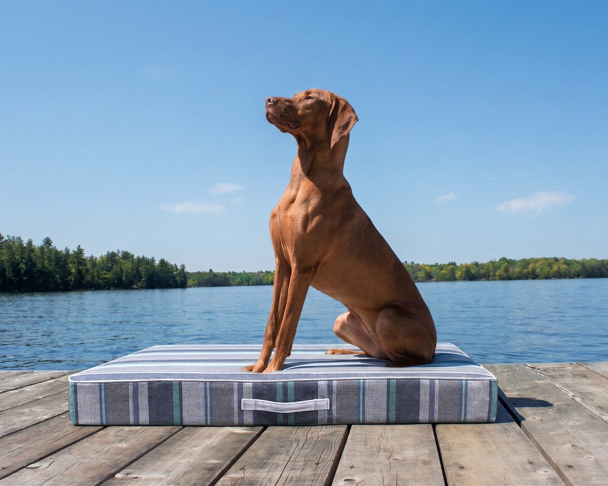 Vizsla resting on the Bowsers Rectangular Patio Dog Cushion in Poolside on a lakeside dock, an outdoor Sunbrella dog bed