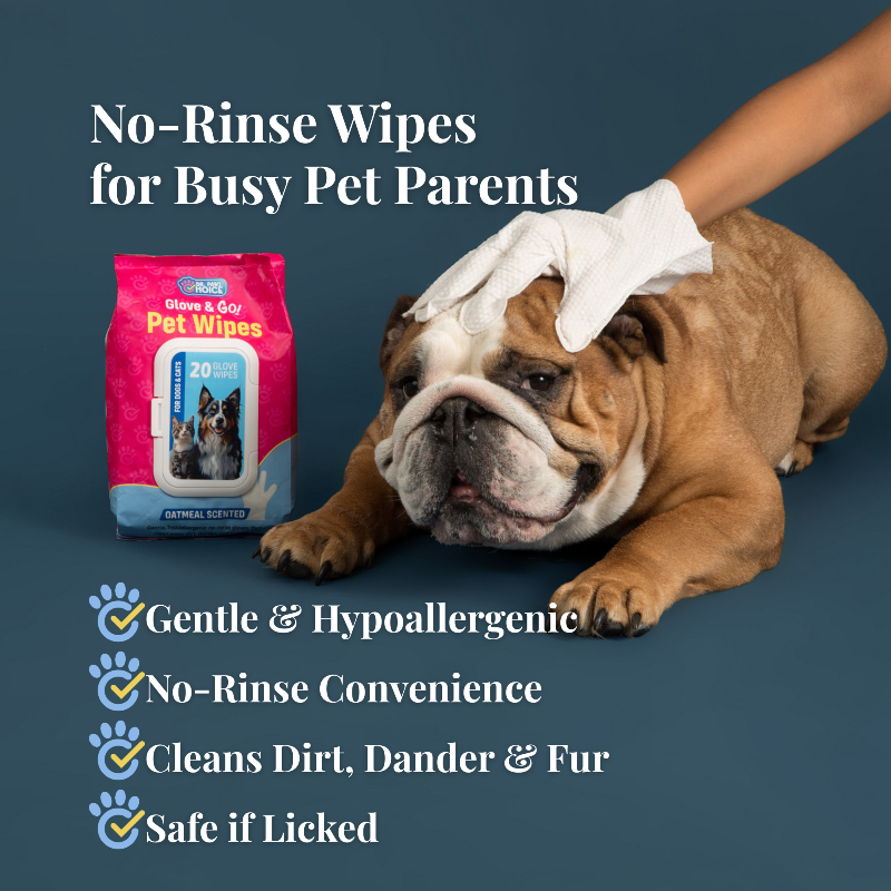 Dog being cleaned with wipes and product packaging on a dark background