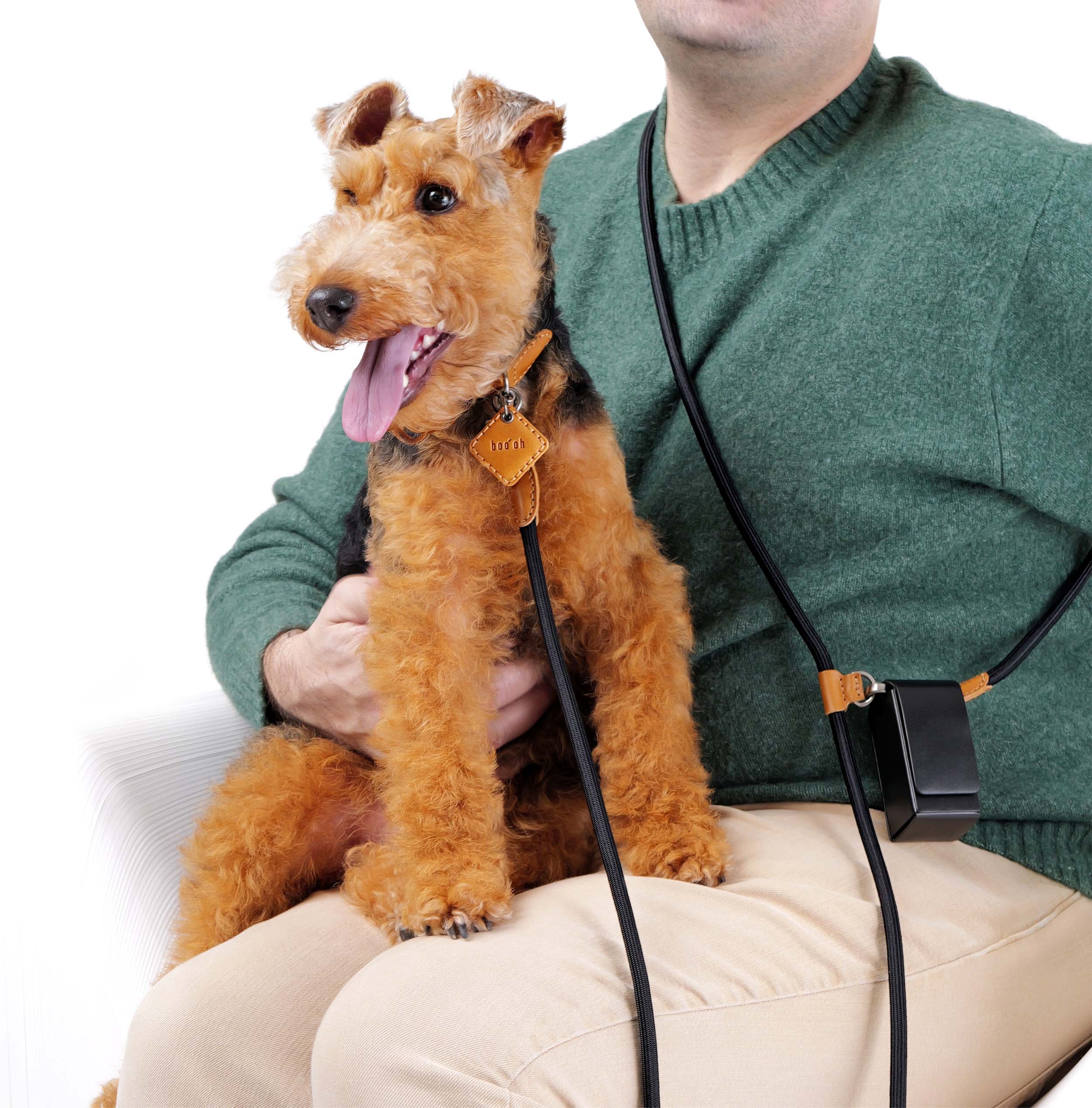 Person holding a terrier dog with a hands-free crossbody leash with Boo Oh logo 
