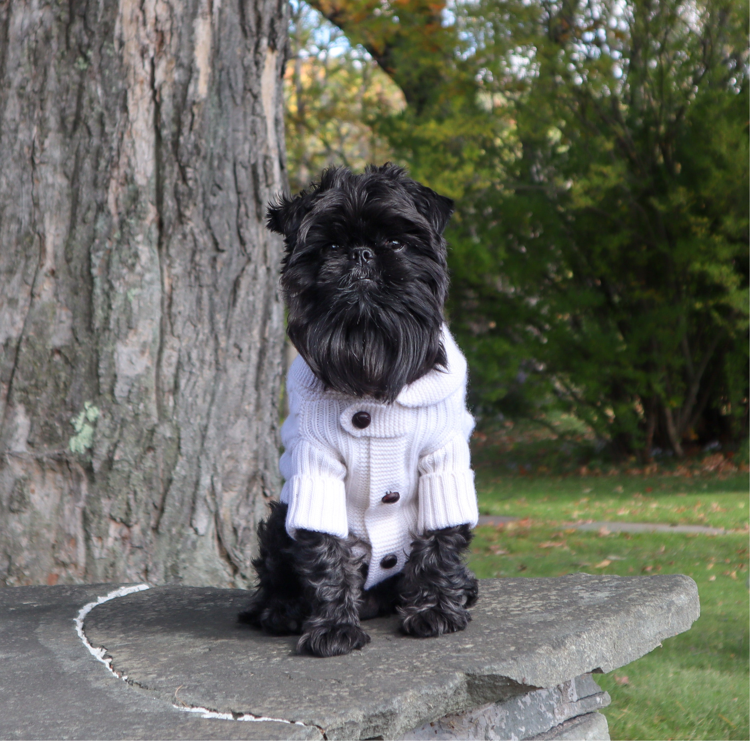 Brooklyn Cashmere Cardigan For Pets, Soft Lilac