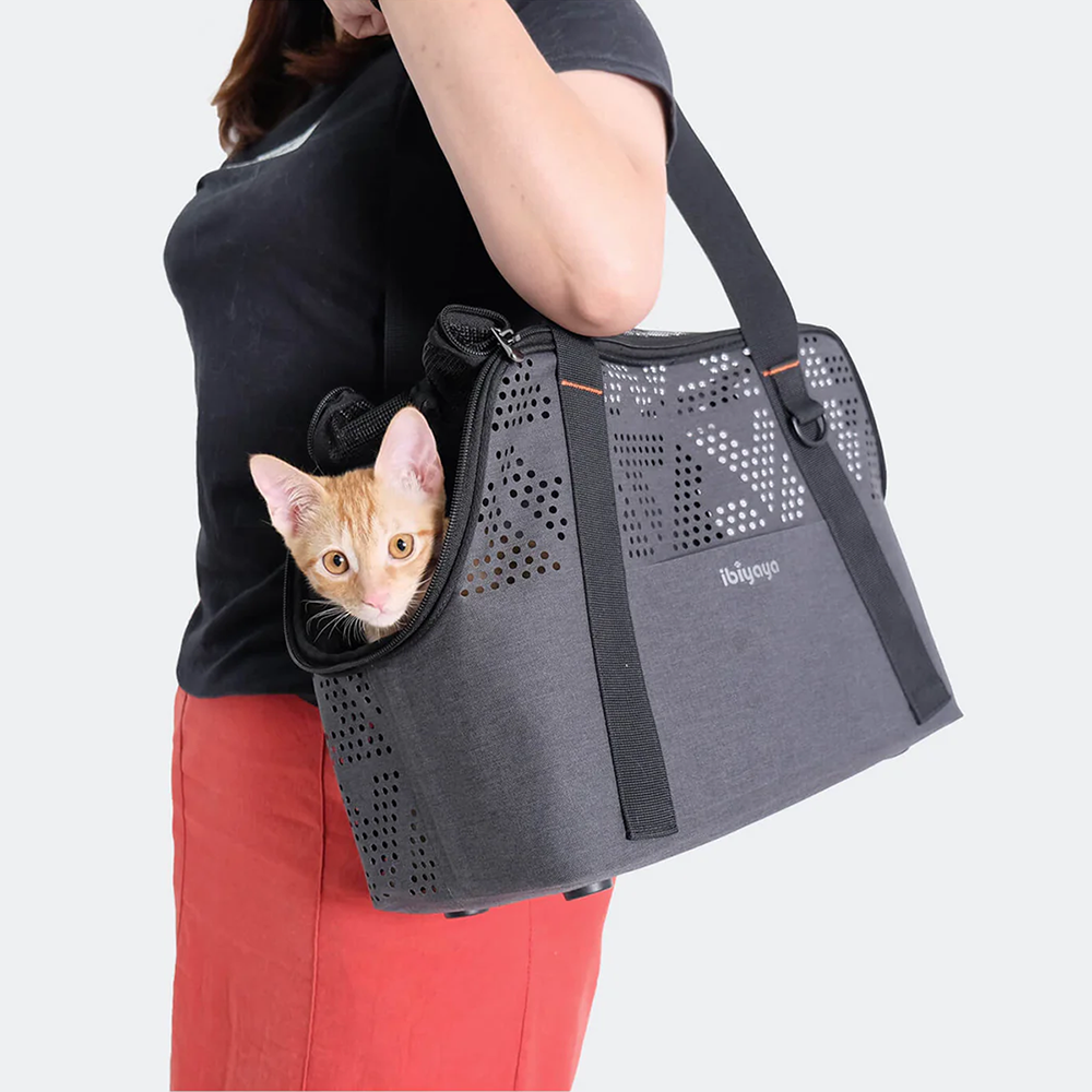 Person holding a gray pet carrier bag with a small orange cat peeking out, with ibiyaya logo, on a white background