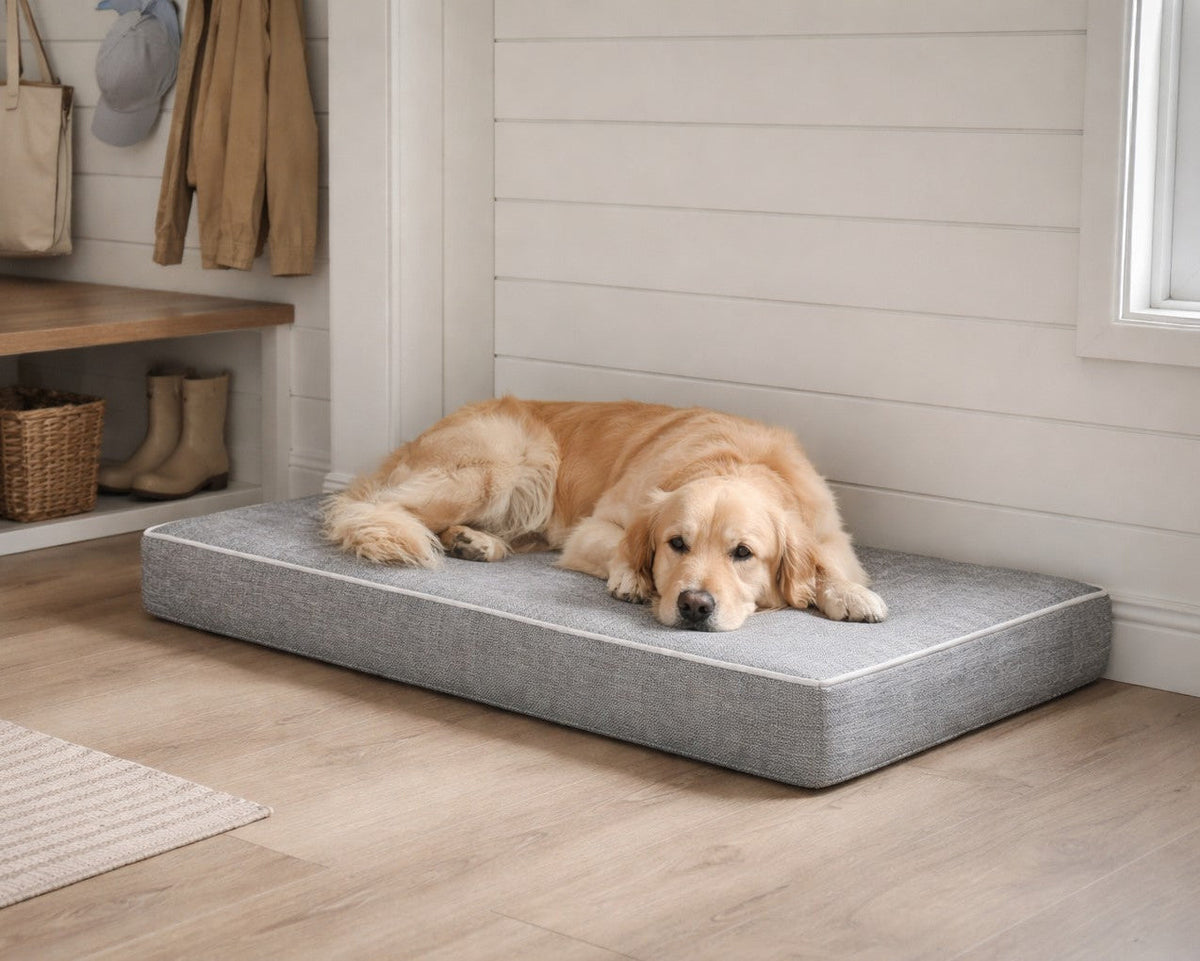 Golden Retriever lying on the Bowsers Isotonic Memory Foam Dog Mattress in Allumina in a mudroom