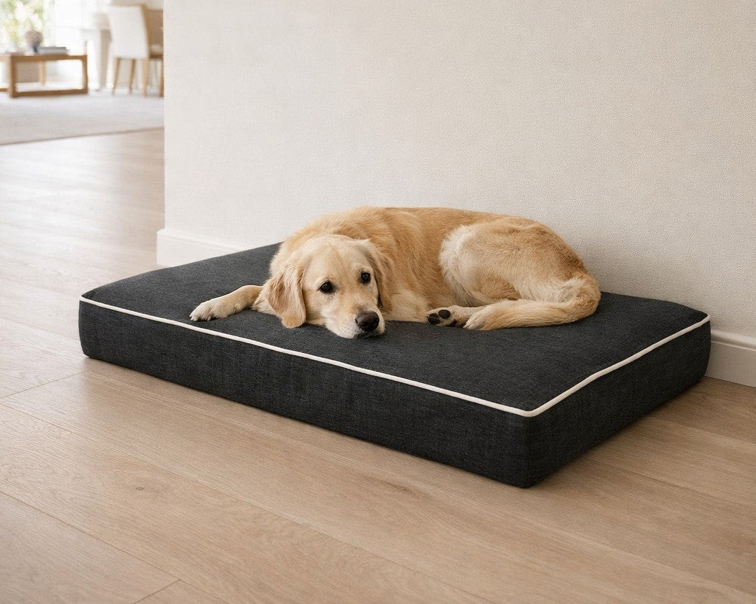 Golden Retriever lying on the Bowsers Isotonic Memory Foam Dog Mattress in Storm, a large orthopedic dog bed