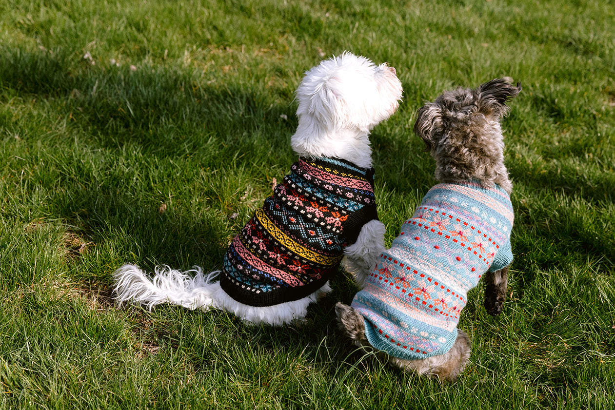 Vintage Design Parker Dog Wool Sweater