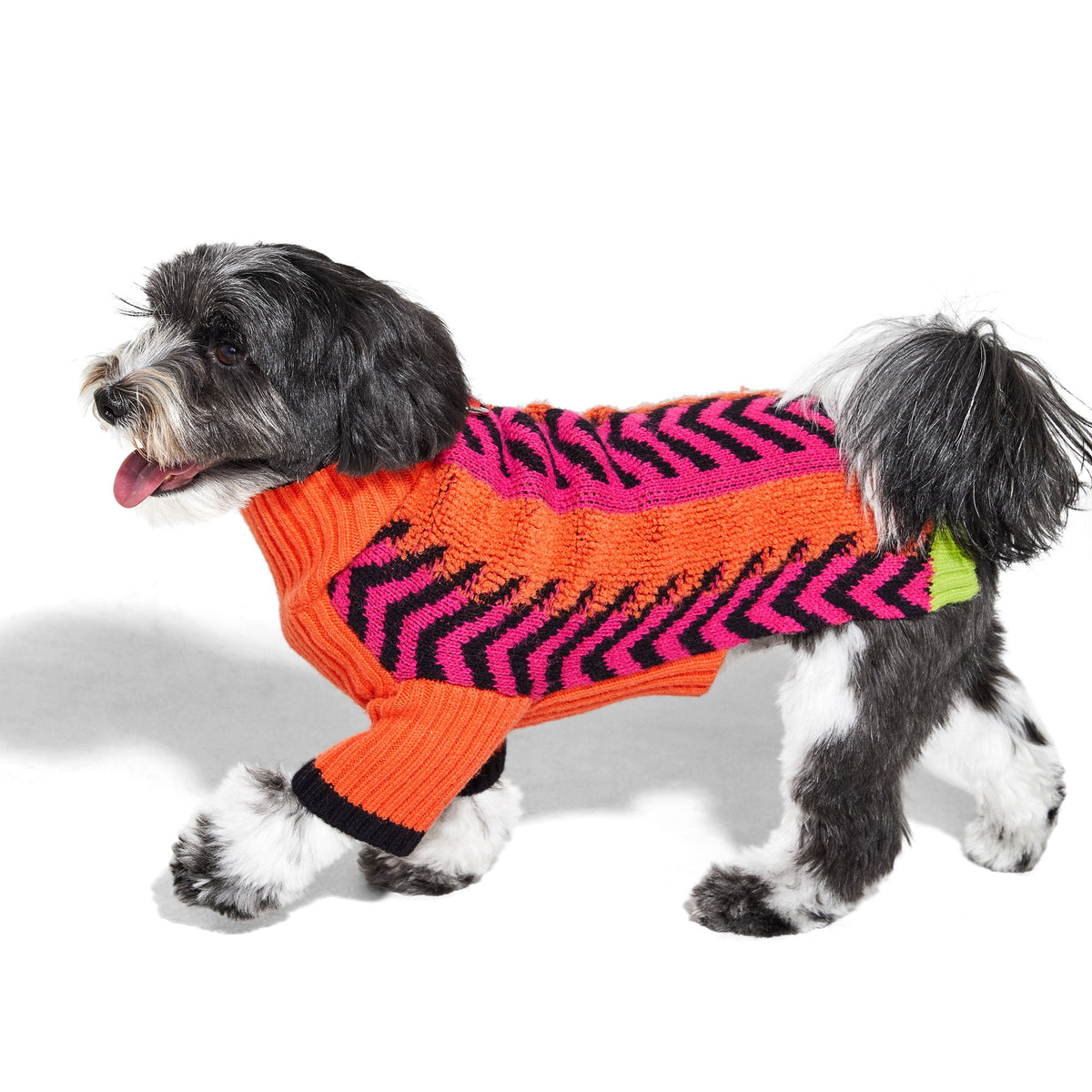 Small dog wearing the Lil Baddie sweater in Orange Crush, side view