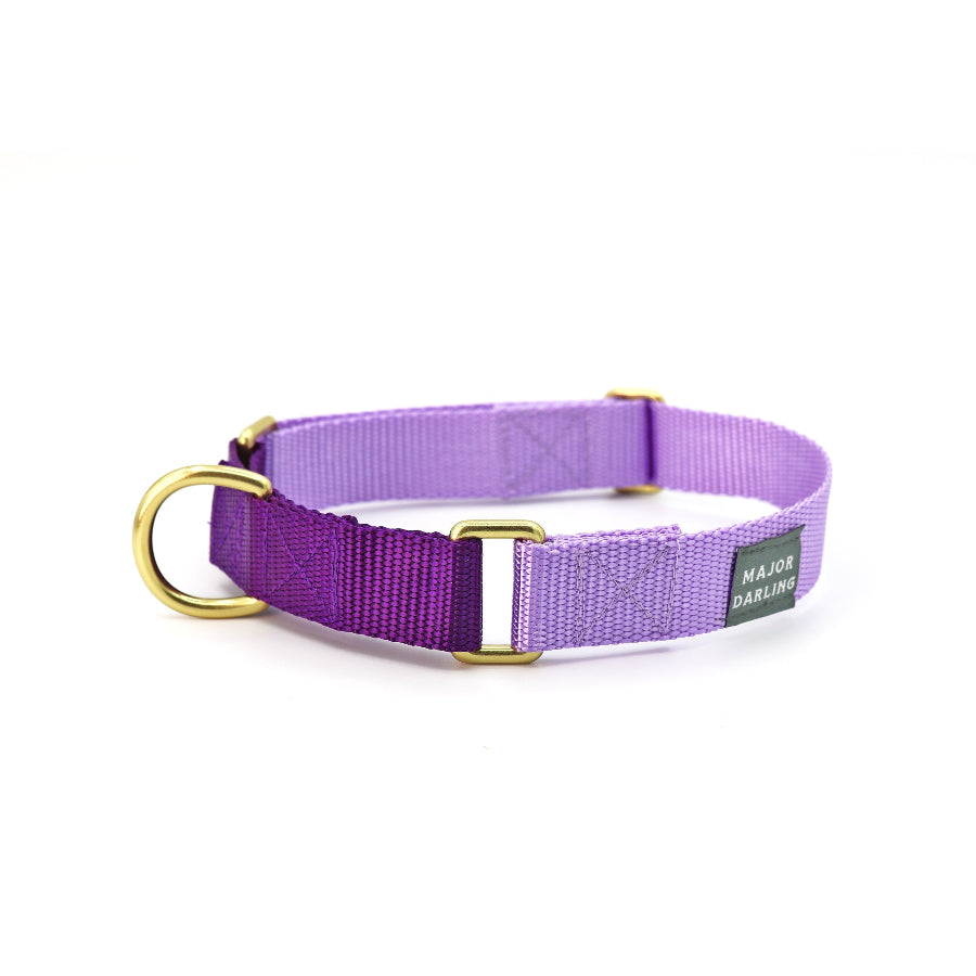 A lilac and violet martingale dog collar with brass hardware, displayed on a white background.