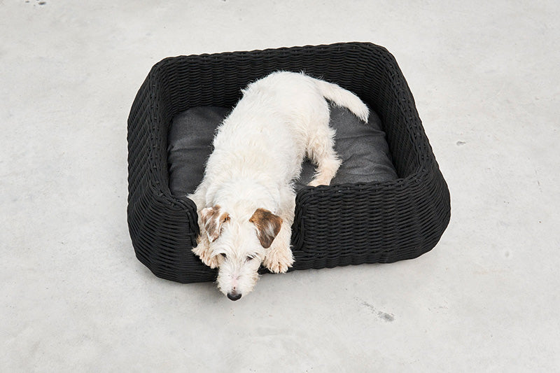 White dog sleeping on Miacara mio rope dog bed.