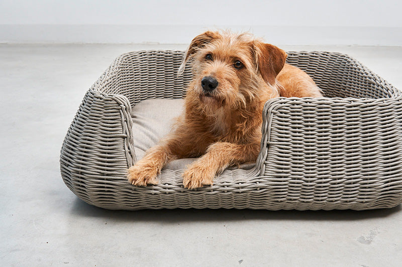 Miacara Mio Rope Indoor & Outdoor Dog Bed