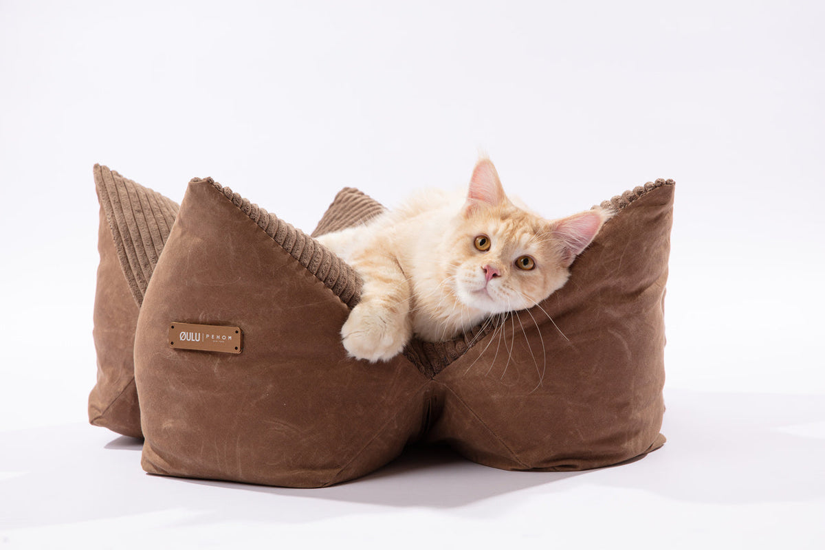 pehomnyc OULU X PEHOM - CUDDLE PET PILLOW BED- Navy Blue / Olive Green / Canyon Brown, photo 13