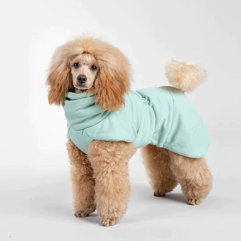 Poodle wearing a Paikka dog bath robe