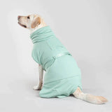 Saige color dog bathrobe quick drying pet towel on a labrador