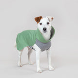 Paikka Recovery Winter Shirt For Dogs | Green
