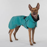 Paikka winter rain jacket for large size dogs in emerald color