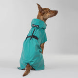Waterproof and stylish Paikka dog jacket and winter coat for large size dog breeds