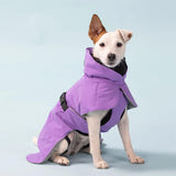 Terrier wearing a warm Paikka winter dog jacket