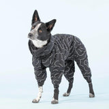 Large dog wearing Paikka winter overall for dogs in black color.