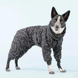Large dog wearing paikka overall dog coat that covers legs