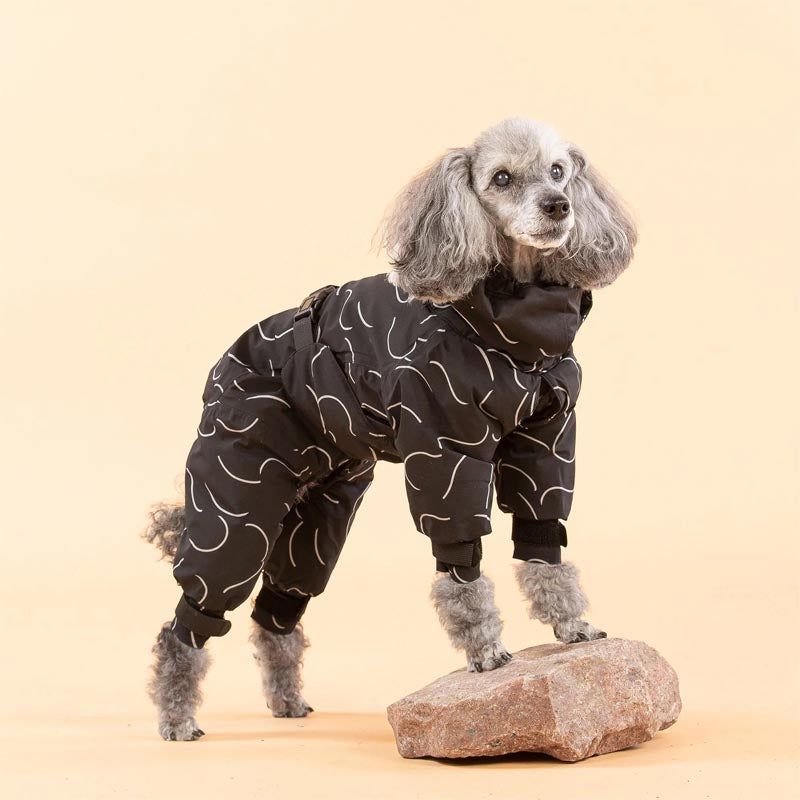 Poodle wearing Paikka overall winter jacket