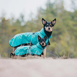 Paikka rain coat in green for small to large size dogs. 