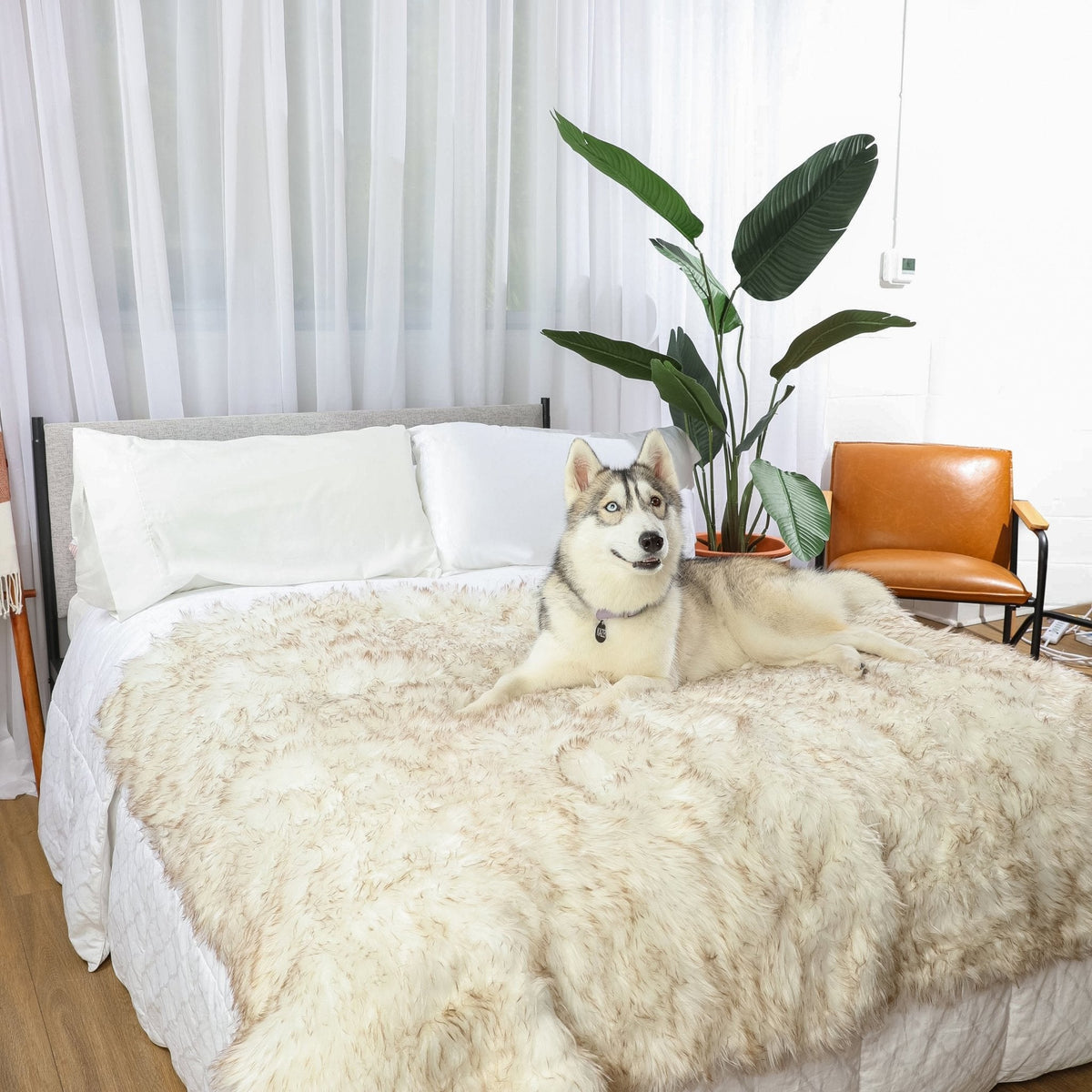 PupProtector waterproof dog blanket in white with brown accents, photo 11