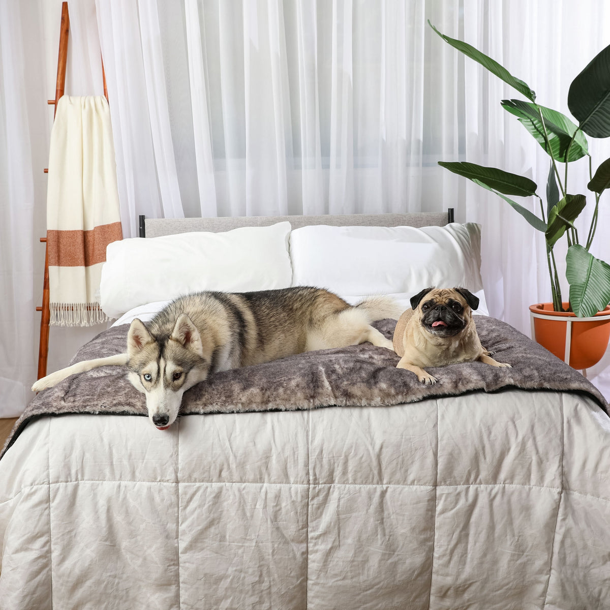PupProtector luxe waterproof bed runner in chinchilla faux fur, photo 12