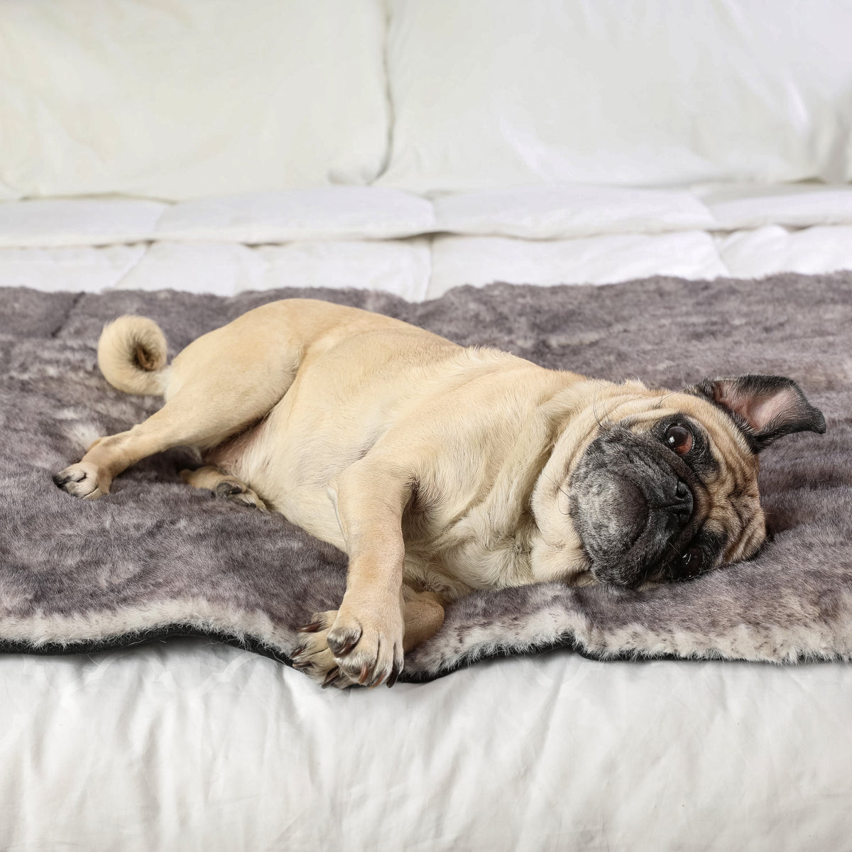 PupProtector luxe waterproof bed runner in chinchilla faux fur, photo 9