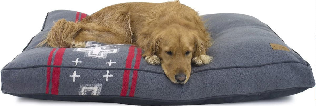 Golden retriever on extra large pendleton dog bed