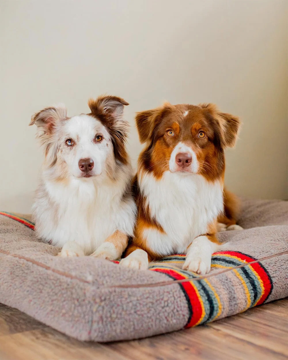 #color_Vintage Camp Umber