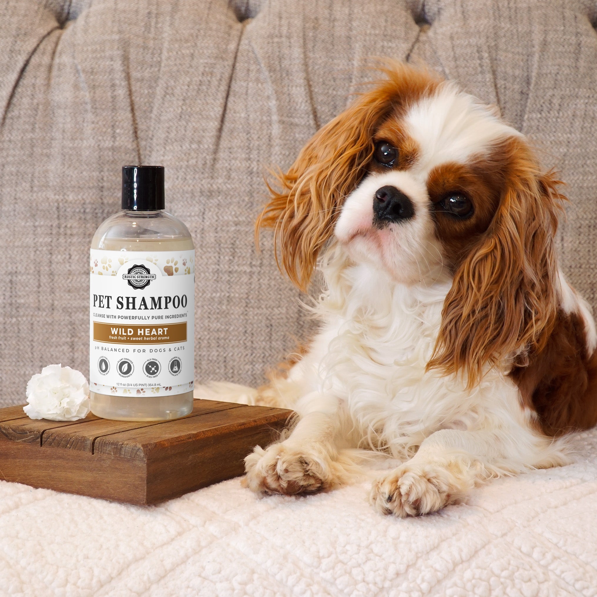 Non-Irritating Pet Shampoo & Conditioner | Unscented