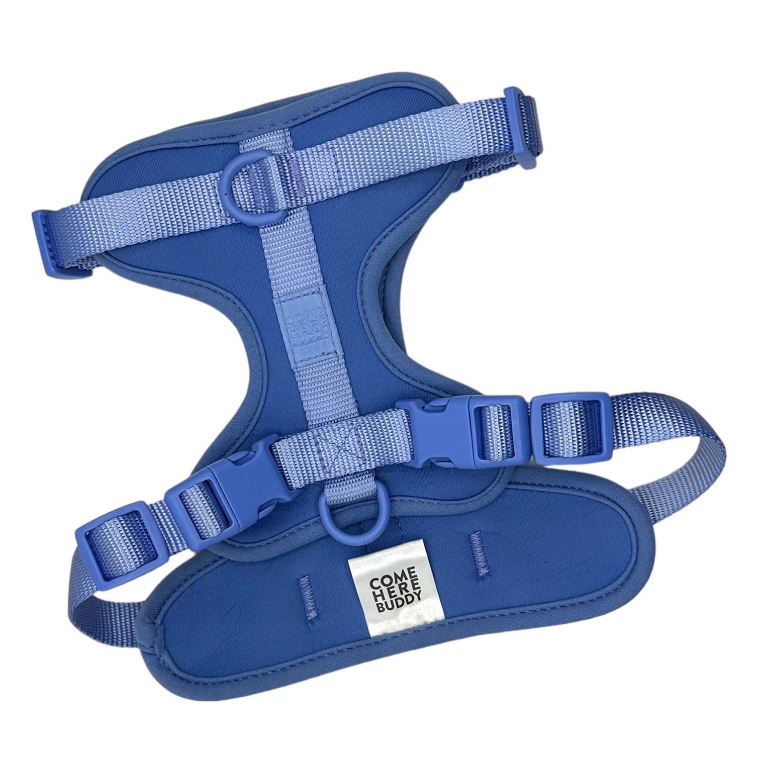 Cute lightweight cushioned dog harness