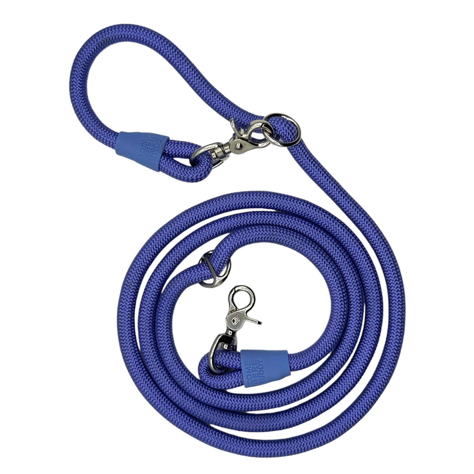 Coiled blue dog leash with metal clips on a white background