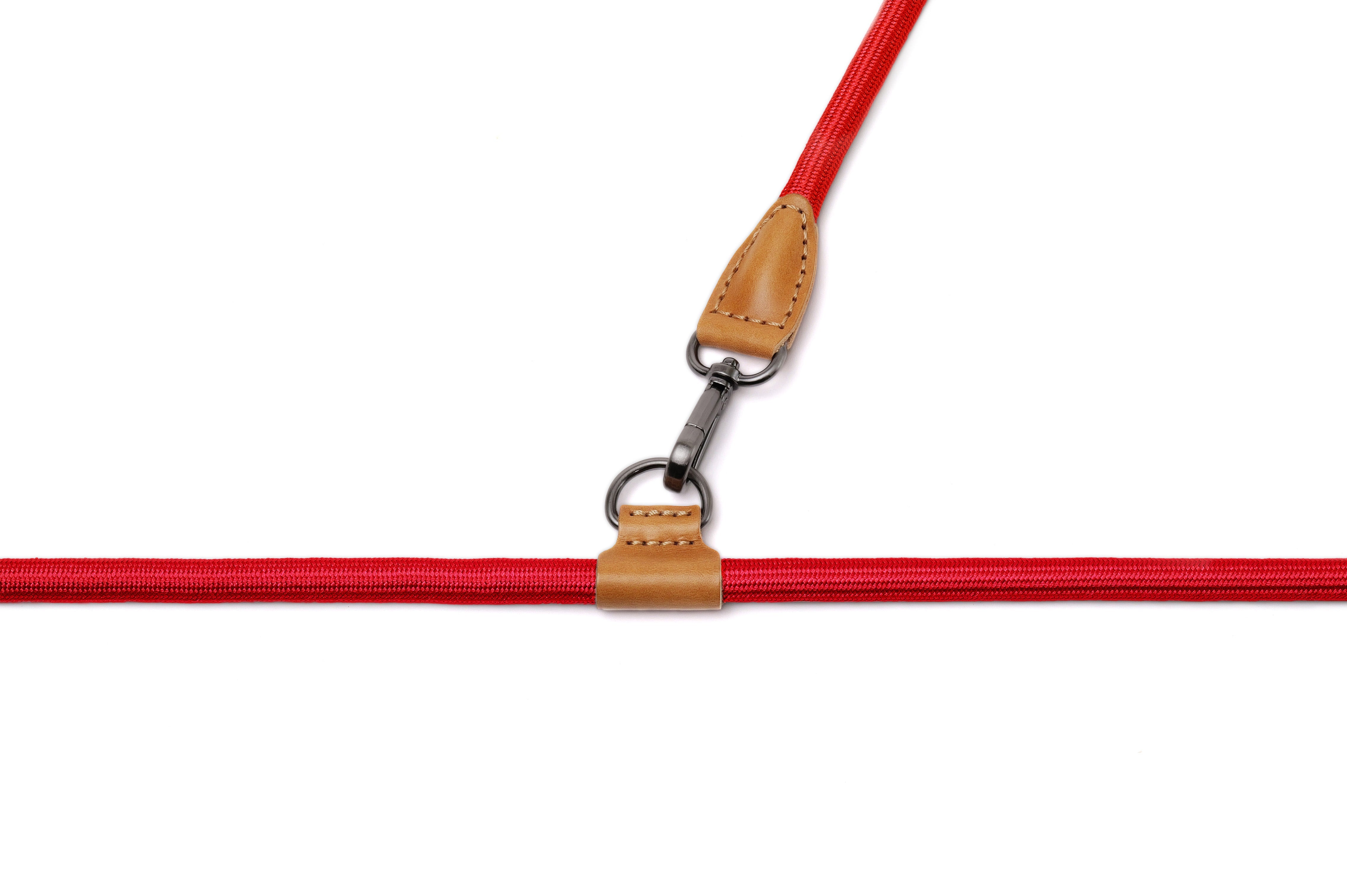 Hands-Free Dog Leash And Collar Set | Ray