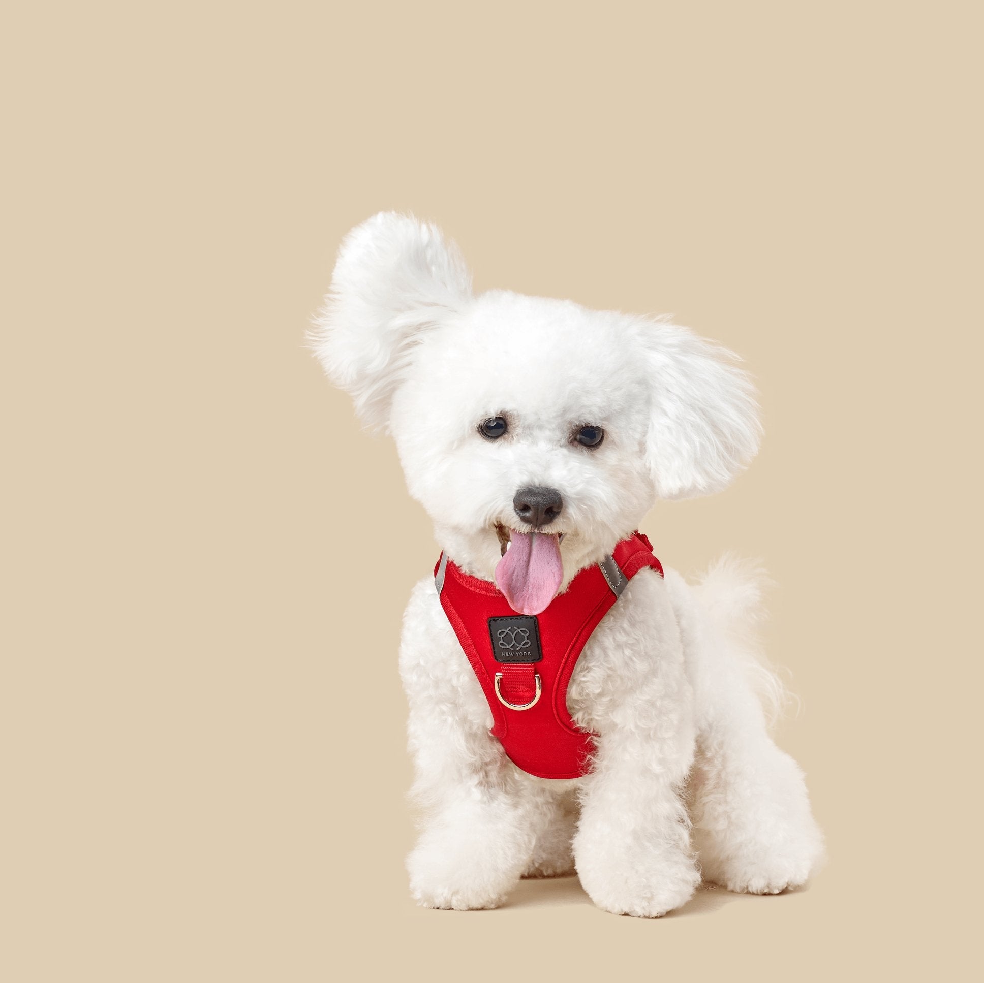 No-Pull SoHo Small Dog Harness - Iconic Red