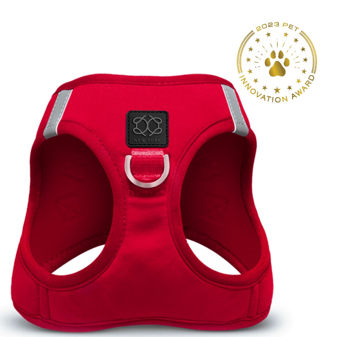 No-Pull SoHo Small Dog Harness - Iconic Red