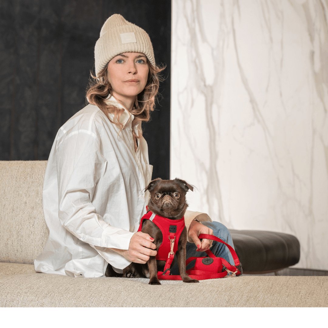 No-Pull SoHo Small Dog Harness - Iconic Red