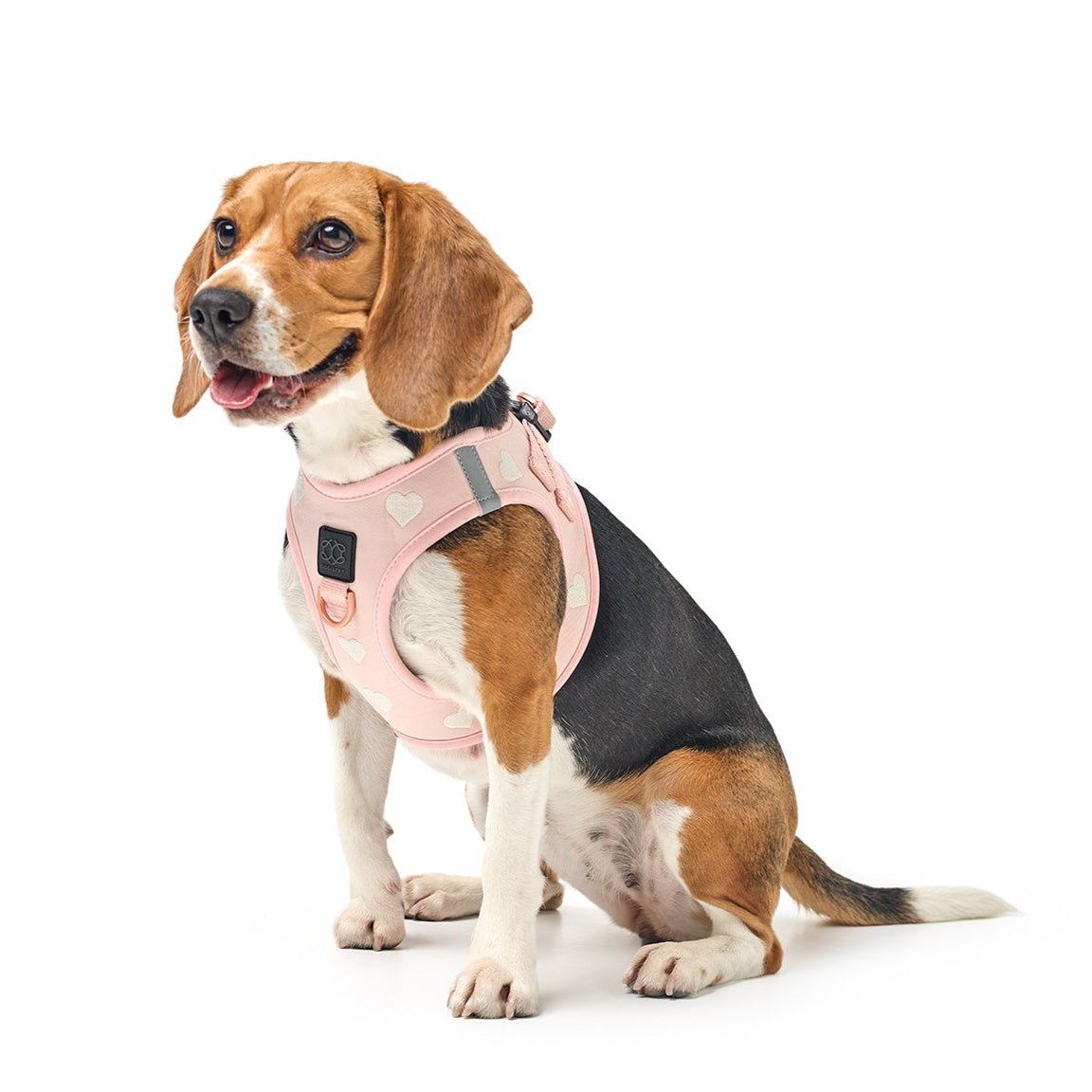 SoHo Small Dog Harness  Sweetheart | No Pull Step-In Harness