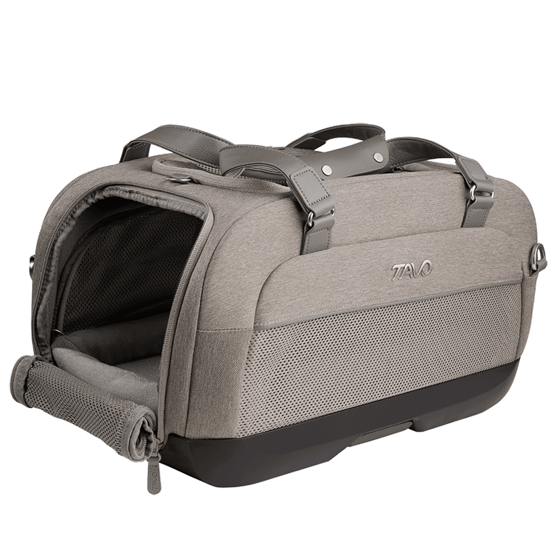 Dupree airline pet carrier and car seat