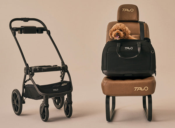 Pet stroller and car seat with 'Tavo' branding on a beige background