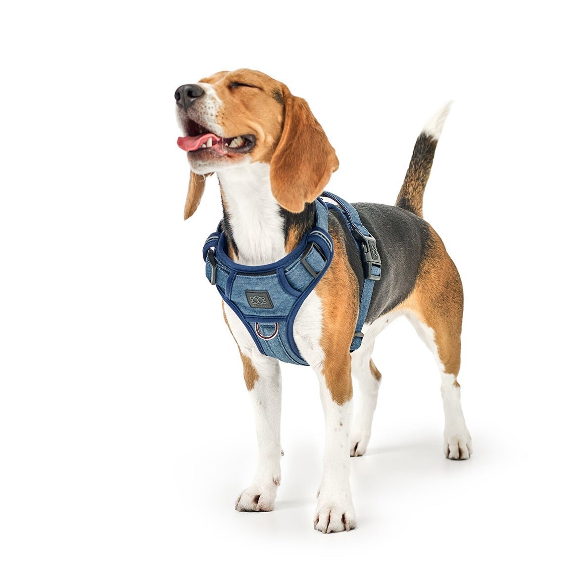 NoMad Adjustable Luxe Harness For Dogs 25-50 pounds