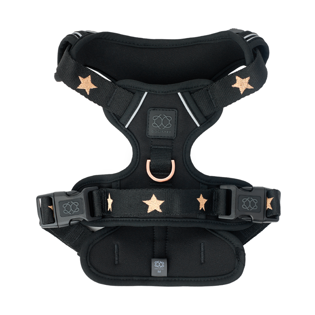 The NoMad Adjustable Luxe Dog Harness | Rockstar