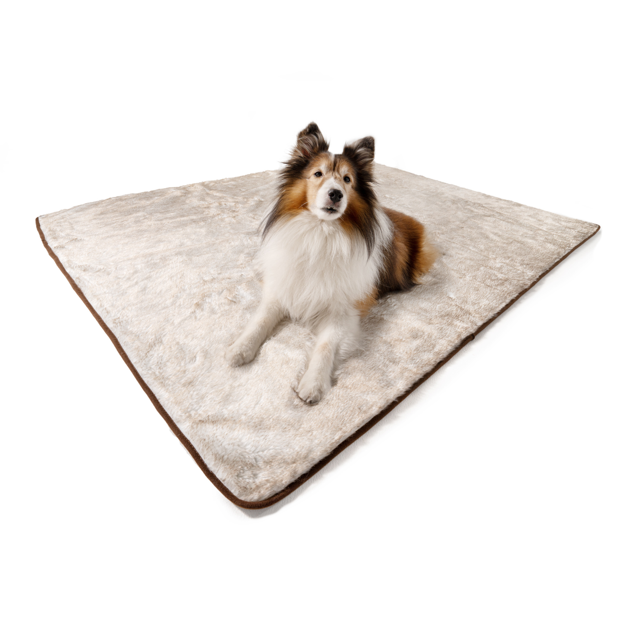 PupProtector summer short fur waterproof dog blanket in white with brown accents, photo 3