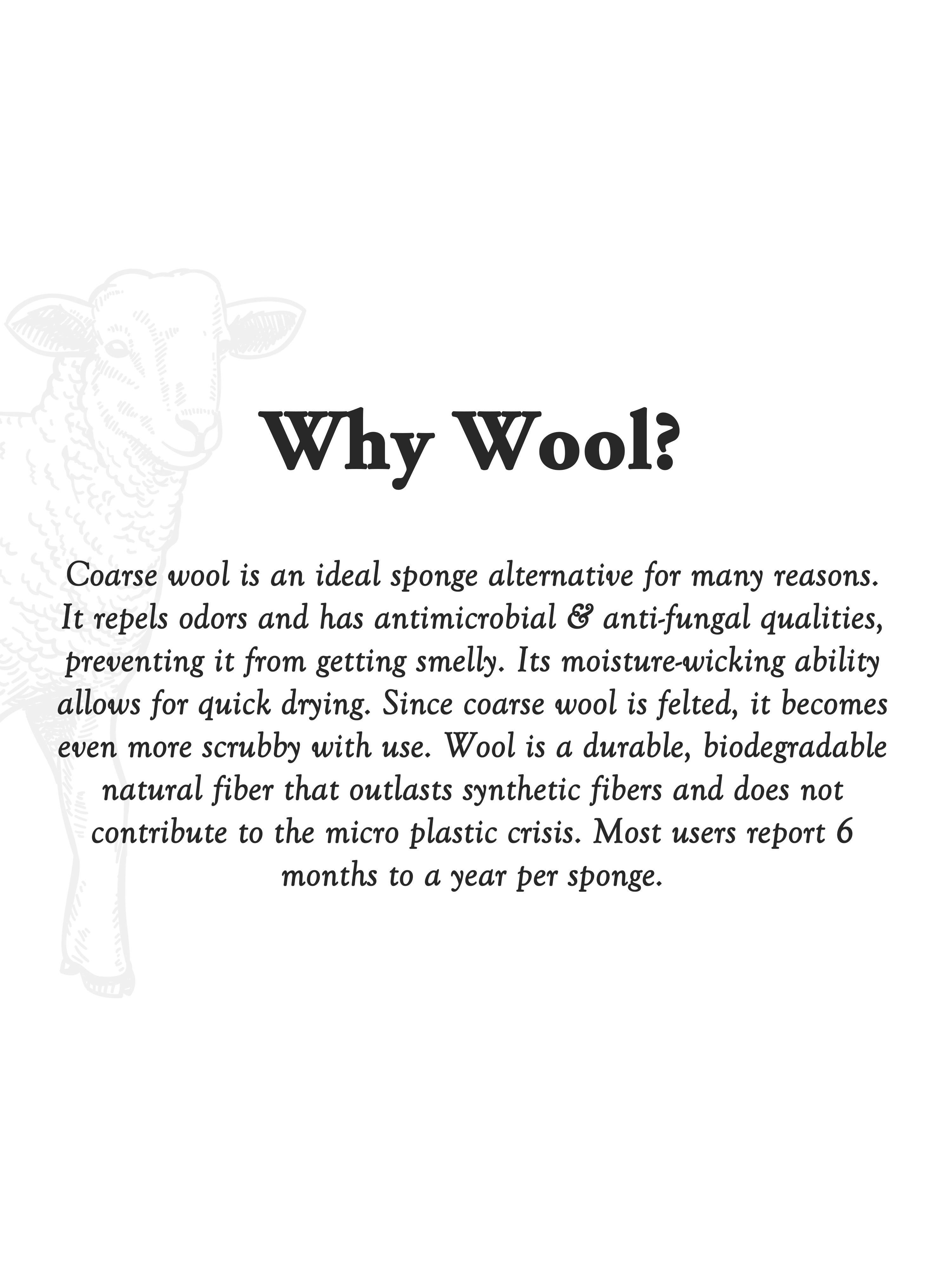 Sustainable Wool Scrub