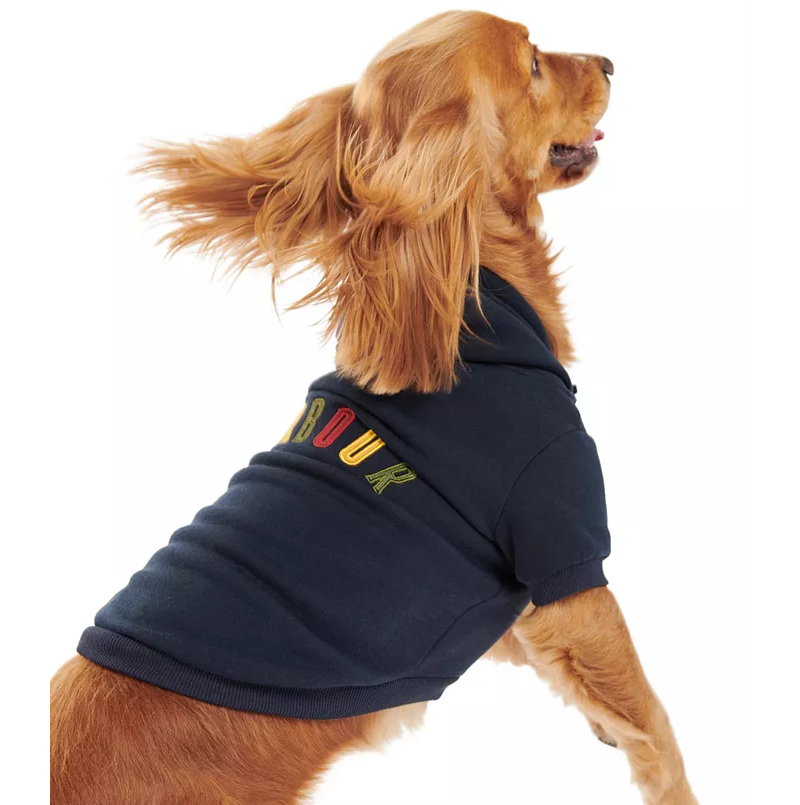 Spaniel dog wearing a luxury Barbour dog jersey hoody with logo